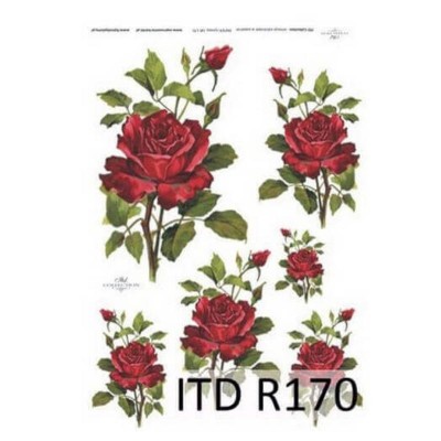 Ριζόχαρτο ITD 21X29.7cm_R170